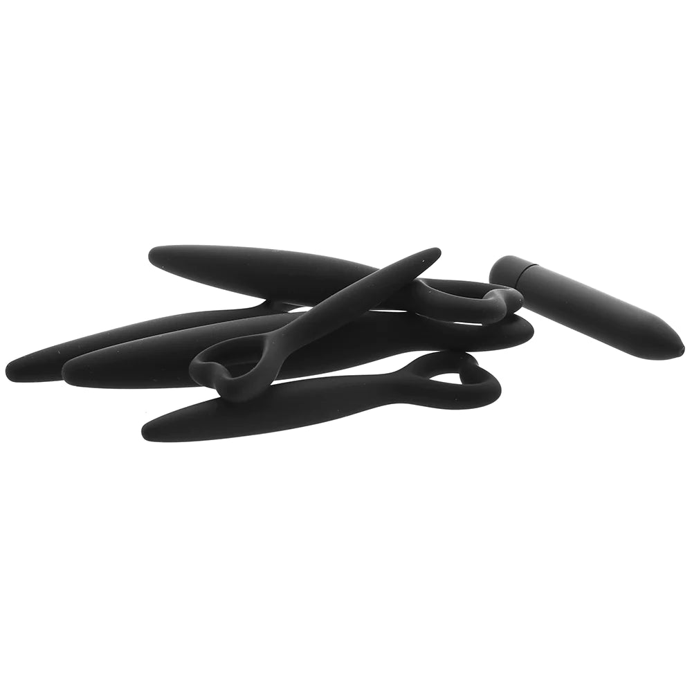 Silicone Vaginal Dilator Set and Bullet